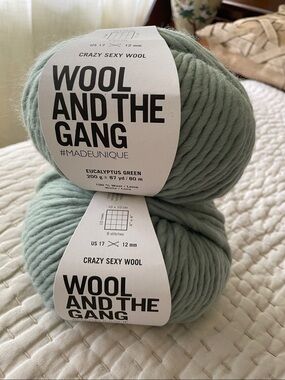 2 Wool and the Gang Crazy Sexy Wool eucalyptus green 200g 100% wool